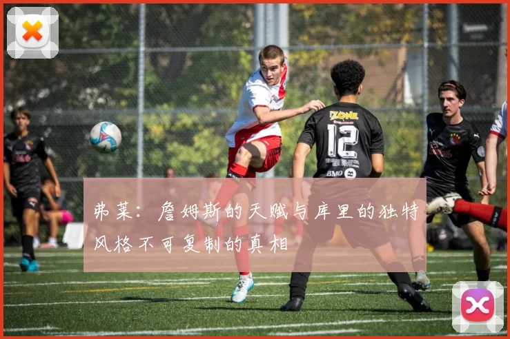 弗莱：詹姆斯的天赋与库里的独特风格不可复制的真相